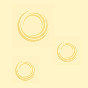Solace Financial
